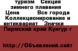 туризм : Секция зимнего плавания › Цена ­ 190 - Все города Коллекционирование и антиквариат » Значки   . Пермский край,Кунгур г.